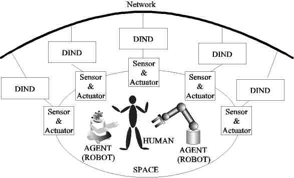 The structure of the DIND